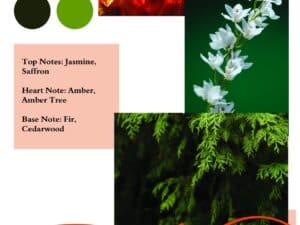 apa de parfum 100 ml