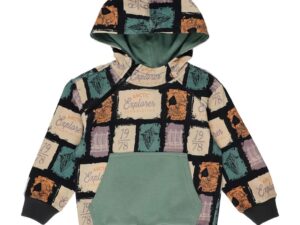 Hanorac cu gluga - model Color Block -  - Discovery - Antracit - pentru baieti - Gri antracit