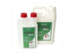 Respirex Mint