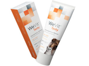 WEPHARM WeVit Tasty