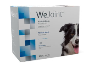 WEPHARM WeJoint Medium Breeds
