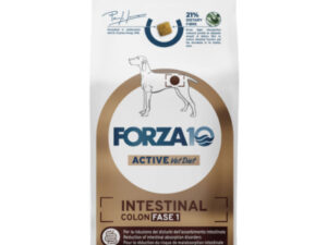 FORZA10 Active VetDiet Intestinal Colon Fase 1