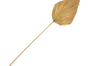 Frunza decorativa Walsy