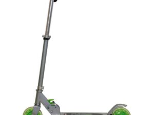 Trotineta cu 2 roti
