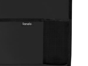Organizator auto Lionelo din piele ecologica negru