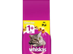 Pui