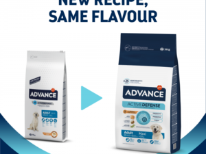 Advance Dog Maxi Adult