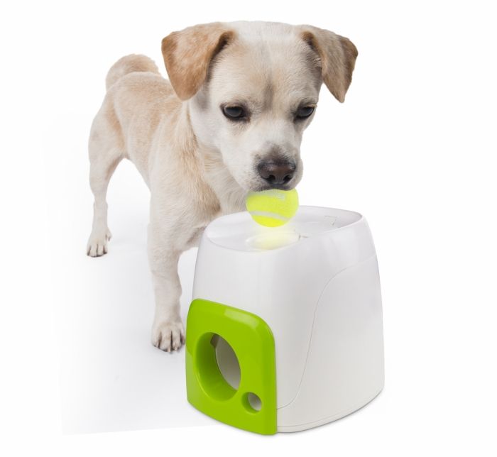Reducere 10% - All For Paws, Dispenser Interactiv pentru Recompense, 16x16x20 cm 1 All For Paws