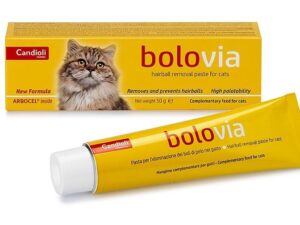 Bolo Via