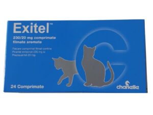 Exitel Cat