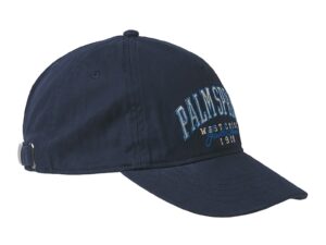 Sapca baseball cu imprimeu text Palme - Albastru ultramarin/Alb murdar/Albastru deschis