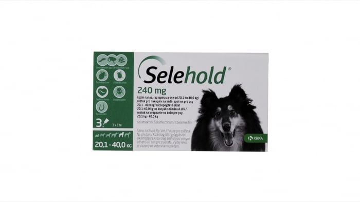 Reducere 50% - Selehold pentru caini 240 mg ml (20.1 - 40 kg), 3 x 2 ml 1 Selehold pentru caini 240 mg ml (20.1 - 40 kg)