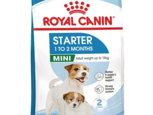 ROYAL CANIN Mini Starter Mother & Babydog