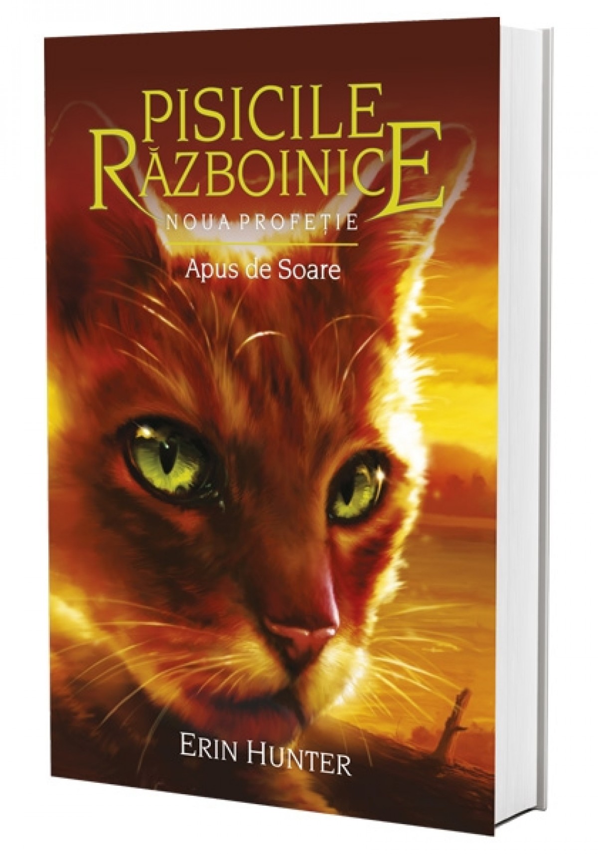 Reducere 50% - Apus de soare | Erin Hunter 1 Apus de soare | Erin Hunter