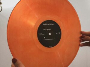 Inelele lui Saturn - Vinyl | W.G. Sebald