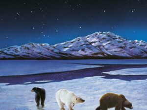 Insula stelelor | Erin Hunter