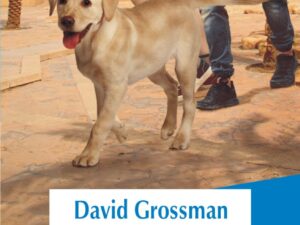 Cineva cu care sa fugi de acasa | David Grossman