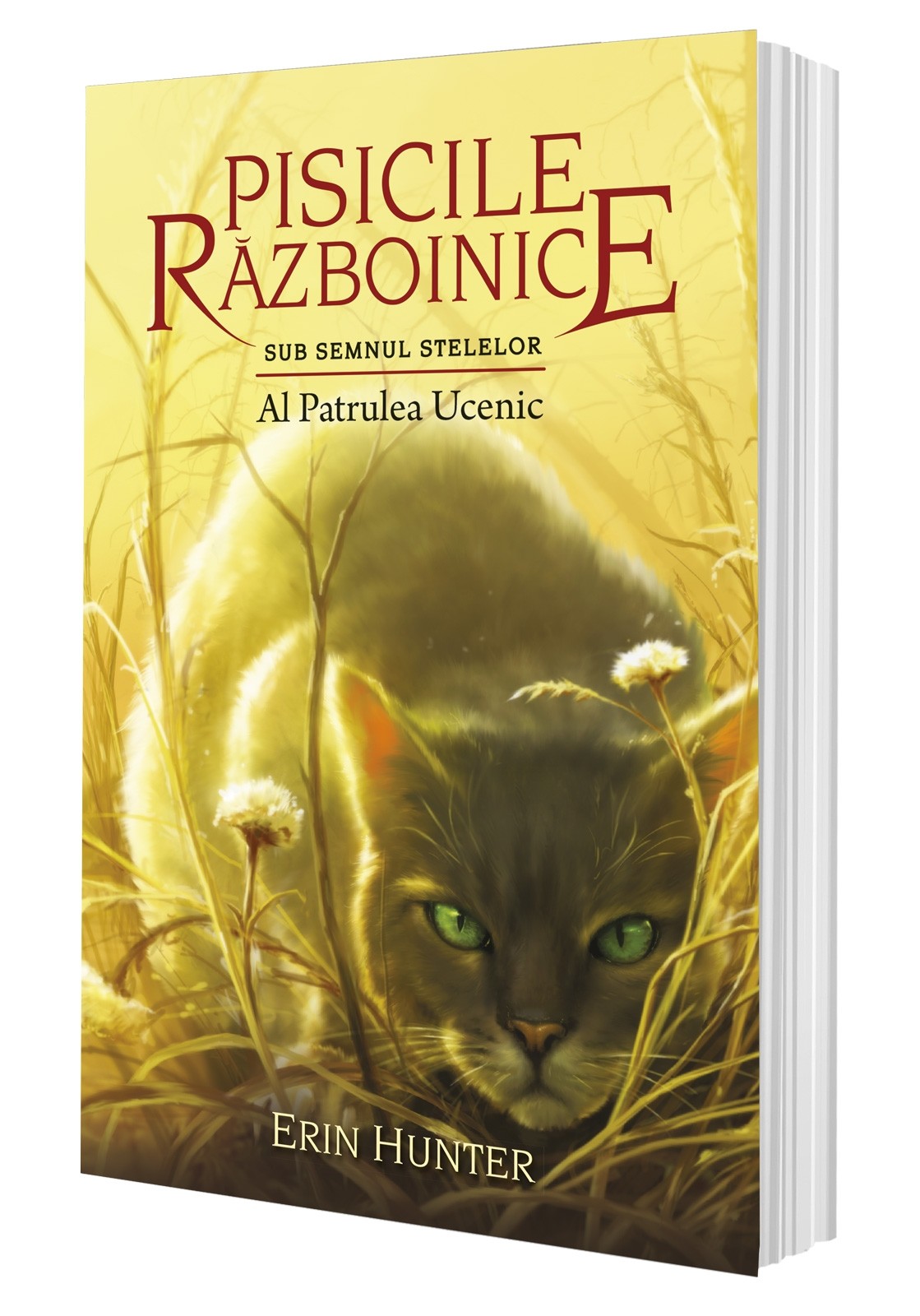 Reducere 50% - Al patrulea ucenic | Erin Hunter 2 Reducere 50% - Al patrulea ucenic | Erin Hunter - imagine 2