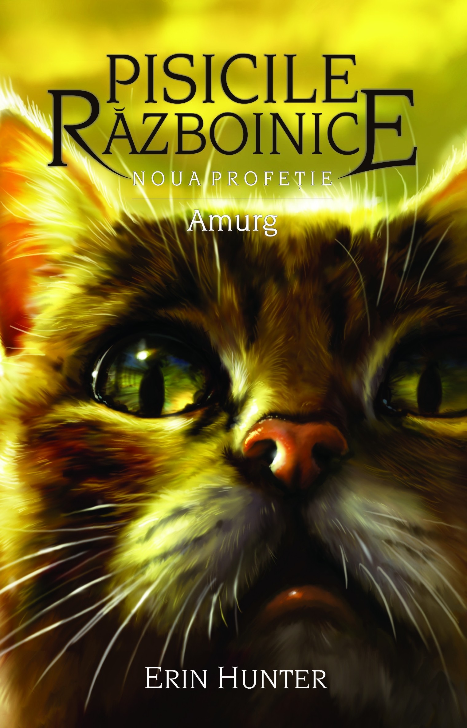 Reducere 50% - Amurg | Erin Hunter 1 Amurg | Erin Hunter