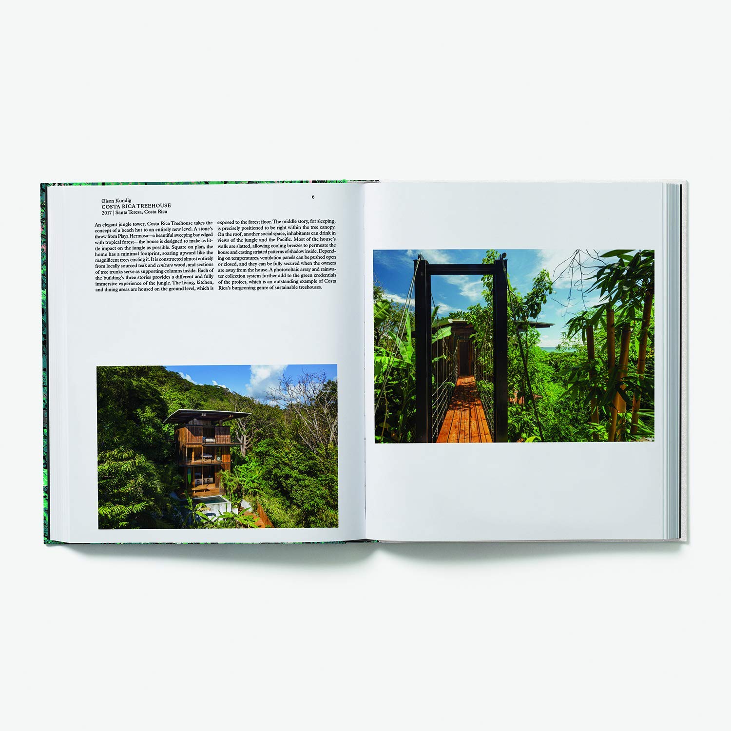 Reducere 10% - Living in Nature | 2 Reducere 10% - Living in Nature | - imagine 2