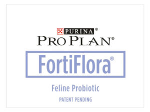 supliment alimentar pisici supliment alimentar pisici