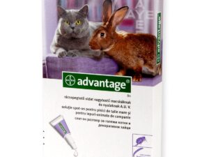 Advantage 80 Cat/ Rabbit x 4 Pipete