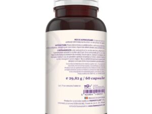 vitamine și minerale pentru vitalitate vitamine și minerale pentru vitalitate