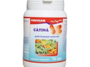 Catina Favisan