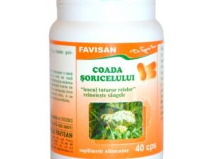 Coada Soricelului Favisan