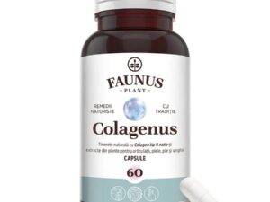 Colagenus Capsule - Colagen concentrat tip II