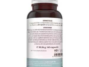 acid hialuronic și plante medicinale. Dureri articulare
