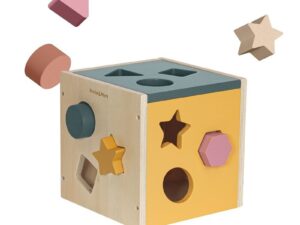 Cub de activitati
