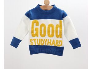 Pulover GOOD STUDYHARD alb-albastru