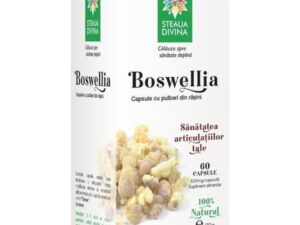 SHORT LIFE - Boswellia Steaua Divina