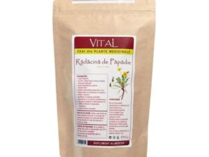 SHORT LIFE - Ceai din Radacina de Papadie Plantavorel