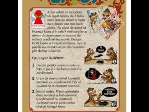 spicy-ro-joc-de-petrecere