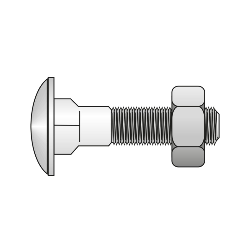 Reducere 14% - Surub Torbant Piulita 603 Otel Zincat-M16 X 220 1 Surub Torbant Piulita 603 Otel Zincat-M16 X 220