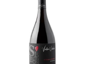 Vin Selection Vladlen Uzhakov