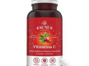 Vitamina C lipozomală cu măceșe - Concentrație mare de vitamina C pentru imunitate