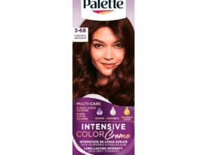 Vopsea de Par Permanenta Palette Intensive Color Creme R2/3-68 Castaniu Inchis