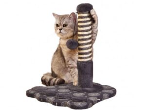 Sisal