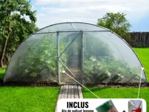 Solar legume 4
