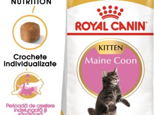 ROYAL CANIN Maine Coon Kitten