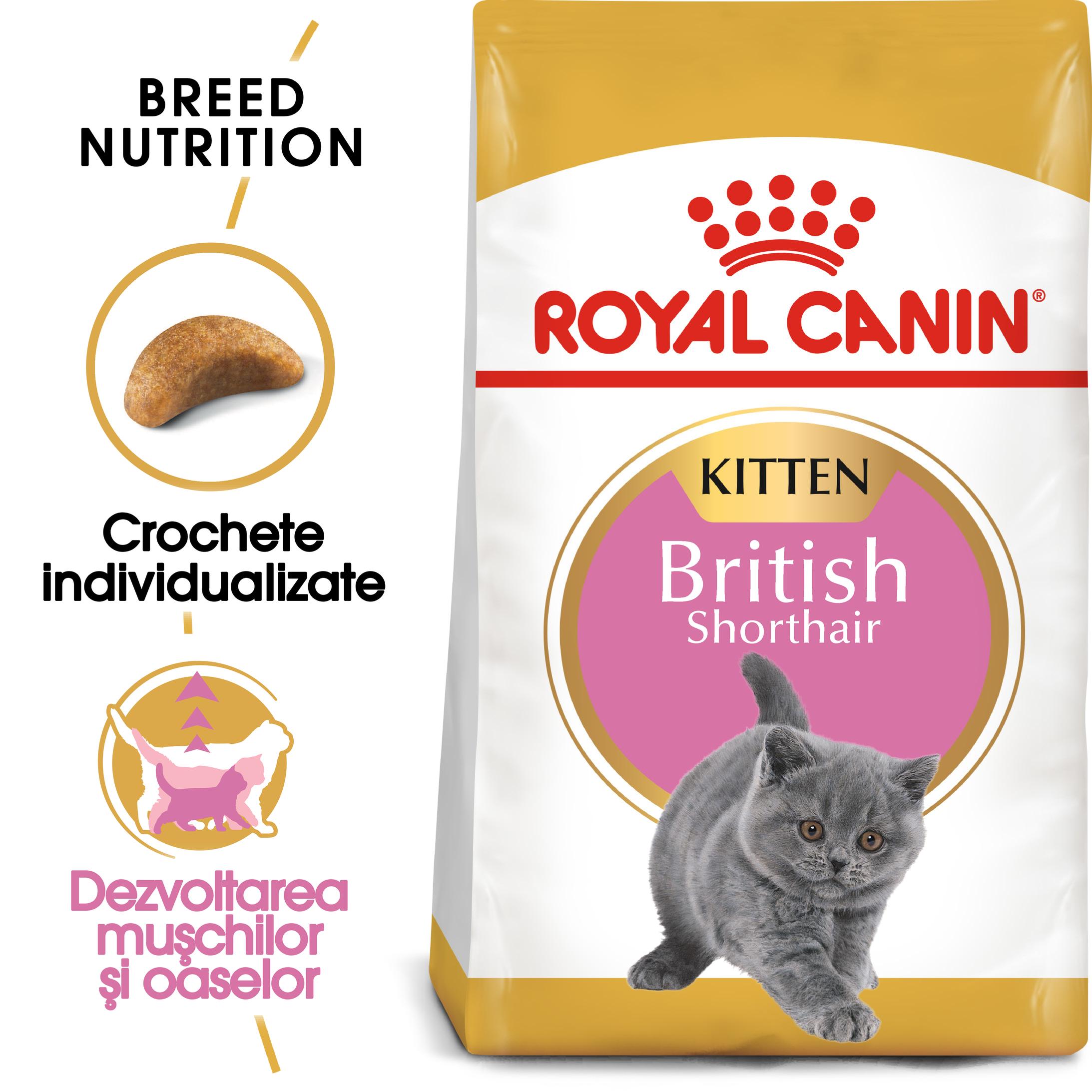 Reducere 25% - ROYAL CANIN British Shorthair Kitten, hrană uscată pisici junior, 2kg 1 ROYAL CANIN British Shorthair Kitten