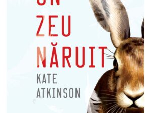 Un zeu naruit | Kate Atkinson