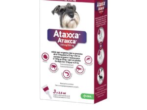 Ataxxa Dog