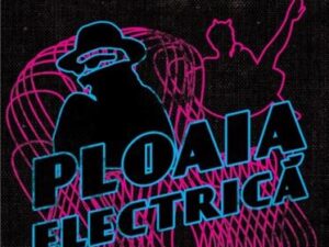 Ploaia electrica | James Lee Burke