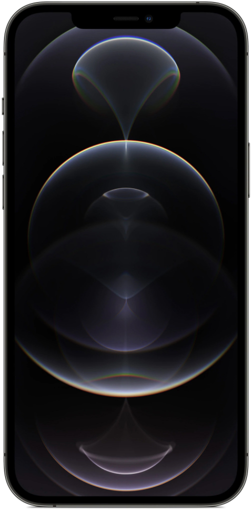 Reducere 45% - Apple iPhone 12 Pro Max 256 GB Graphite Excelent 1 Apple iPhone 12 Pro Max 256 GB Graphite Excelent