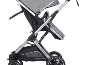 Carucior Multifunctional 2 in 1