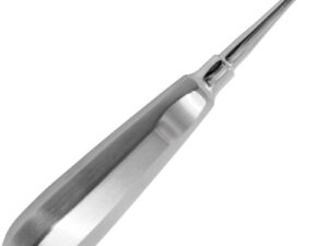 Elevator Dentar